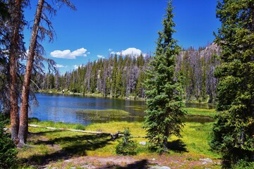 Lake Cuberant hiking trail views of ponds, forest and meadows around Bald Mountain Mount Marsell in Uinta Mountains from Pass Lake Trailhead, Utah, United States.