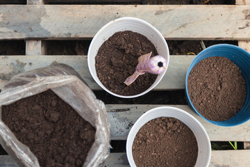 Pots full of soil to plant in the garden - home gardening elements - bag filled with soil with a...