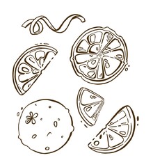 Set of fresh whole, half, cut slice and leaves orange fruit isolated Vector illustration