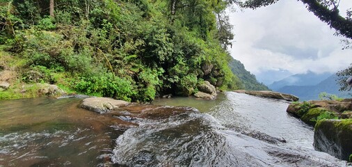 river in the forest