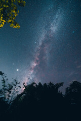 Fototapeta na wymiar Milky way and night stars in the fields