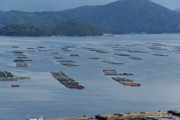 宇和海に点在する養殖棚