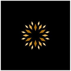 Fototapeta premium Elegant Golden Star Flower Fireworks Luxury logo design