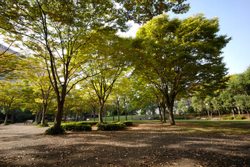 竹園公園（茨城県つくば市竹園）