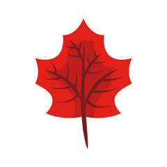 autum webbed leaf flat style icon