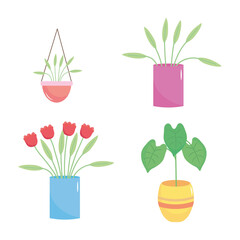 icon set of beautiful plants in a pot, colorful design