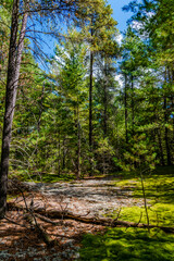 Laurentians parks and wildlife reserves