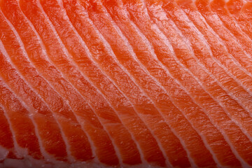 fresh salmon fillet