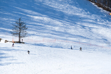 People enjoy playing snowboard ski on snowy mountain winter season at kusatsu ski area Japan