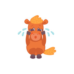Vector cartoon isolated illustration of sad crying pony