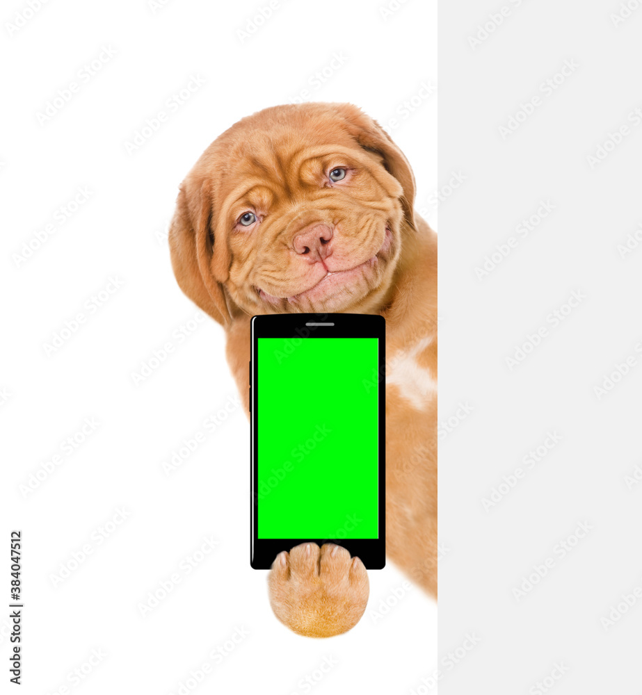 Poster Smiling puppy holds smartphone above empty white banner. Isolated on white background