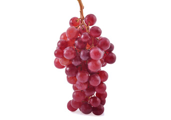 red grapes isolated on white background
