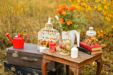 Autumn background. A lot of things in retro style stand: candles, suitcases, watering can, the cell with the vegetables, marigold, old book in the autumn forest
