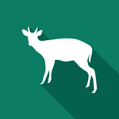 barking deer icon with long shadow. white deer logo. vector illustration