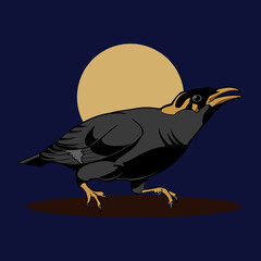raven on night with moon vector illustration design