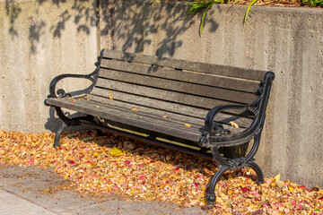Close up view of a wood and metal park bench along a sidewalk and stone wall, with colorful fallen autumn leaves scattered underneath, with copy space