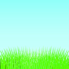 Fototapeta na wymiar Green grass on blue sky background, vector