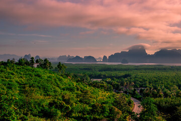 Natural background of morning light against trees or coastal mangrove forest, cool blurred wind,...