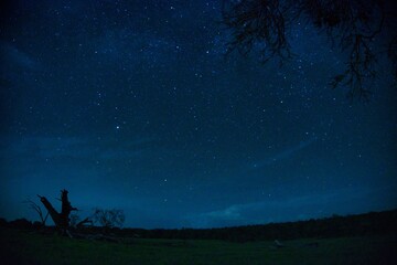 Fototapeta na wymiar night landscape with stars