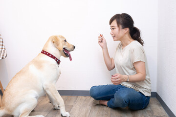 犬と女性
