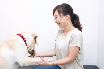 犬と女性
