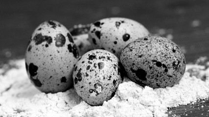 quail eggs in flour on a wooden background, black and white