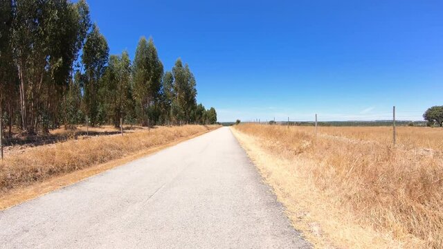 dolly move forward - M524 secondary paved road on a summer day next to Alter do Chao, Portalegre District, Alentejo, Portugal