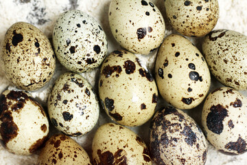 Fototapeta premium quail eggs in flour, top view