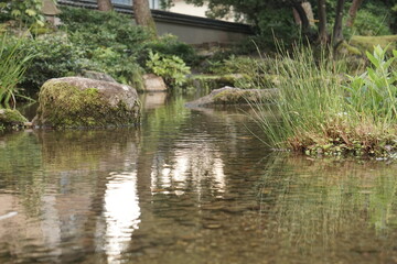 A park with abundant nature