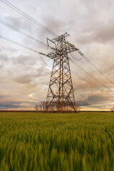 High-voltage power lines passing through a green field of wheat, on the background of a cloudy sky. Selective focus