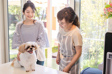 犬と女性

