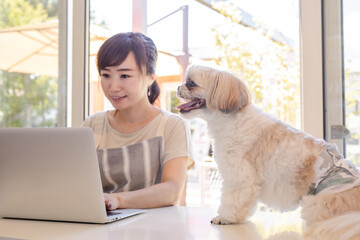 犬と一緒に仕事する女性
