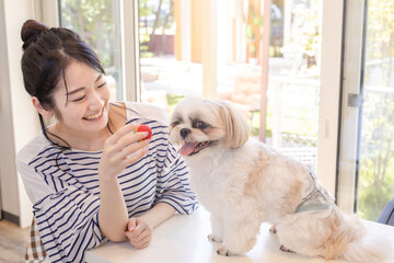 愛犬と遊ぶ女性
