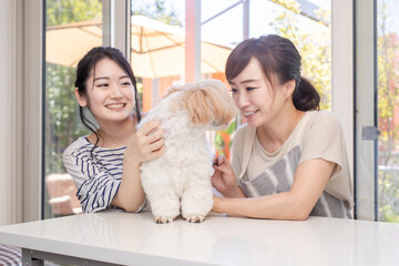 犬と女性
