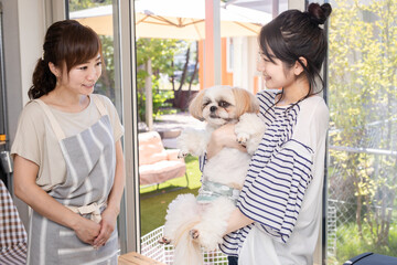 犬と女性 