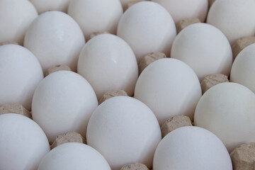 White chicken eggs close up, eggs background. High quality photo