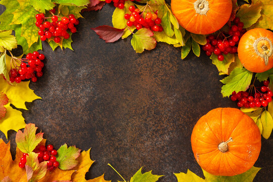 Seasonal background. Autumn composition with autumn maple leaves, pumpkin, nuts and berries on a slate background. Top view flat lay background with copy space.