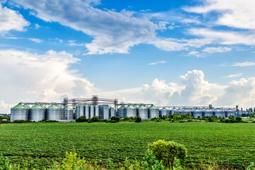 Fototapeta na wymiar Agricultural Silos. Storage and drying of grains, wheat, corn, soy, sunflower against the blue sky with white clouds.Storage of the crop