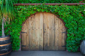 Plakat Green wall in a sustainable building overgrown with ivy with wooden arched door, vertical garden on the facade