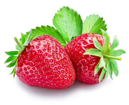 Two strawberries with strawberry leaves isolated on a white background.