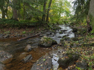 Flowing autumn Creek in autumn