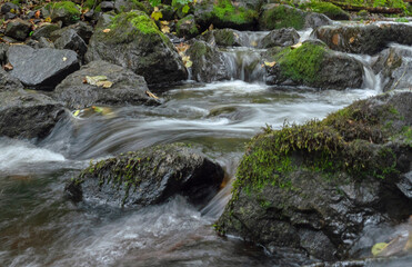 Flowing water in autumn