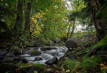 Obraz premium Flowing autumn Creek in autumn