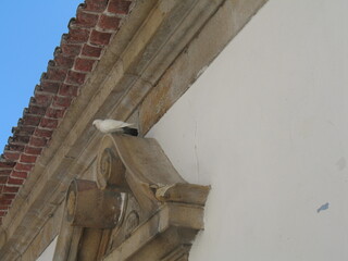 Covilhã, Portugal: streets, squares, buildings of the old city on a summer day