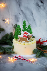 christmas cake with candle