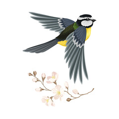 Great Tit with Black Head and Yellow Body Flying Towards Apple Blossom Branch Vector Illustration