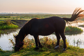 Przystań Waniewo. Narwiański Park Narodowy. Polska Amazonia, Podlasie © podlaski49