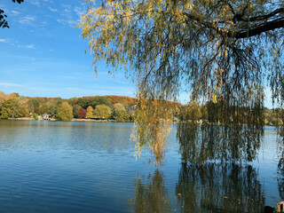 sole pleureur sur le lac