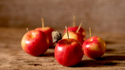 Apple cider vinegar in the glass and apple on a natural background.