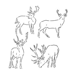 One line design silhouette of deer.hand drawn minimalism style.vector illustration, deer, vector sketch illustration